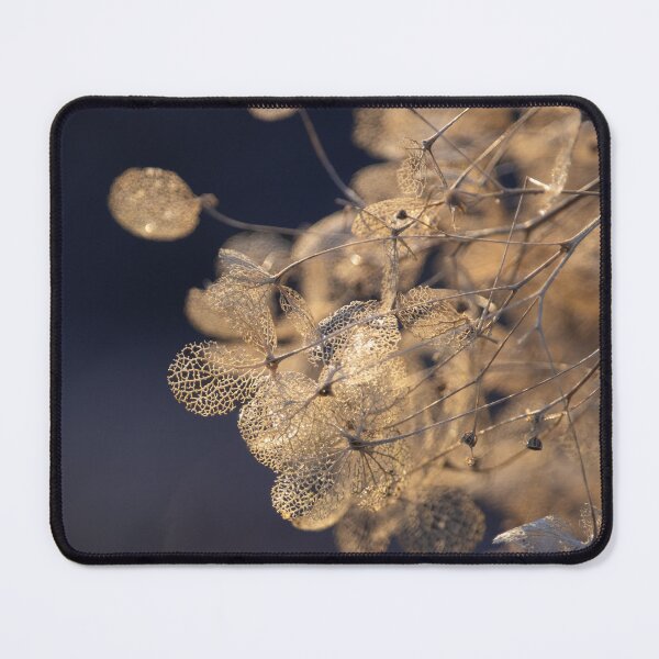 Item preview, Hydrangea Flowers with Magical Winter Light designed and sold by Imladris01.