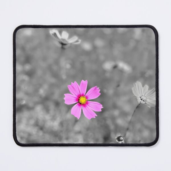 Item preview, Pink Cosmos designed and sold by Japaholic.