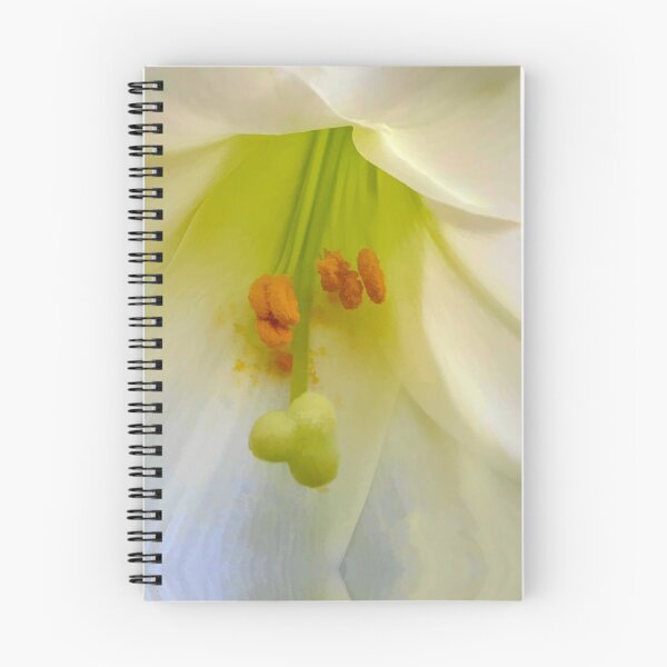 Item preview, Heart and Soul of Lily designed and sold by bertsworks300.