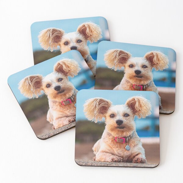 Item preview, Pipi the Papillon Dog  designed and sold by Barry Ion.