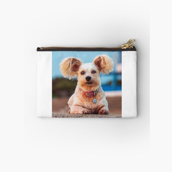 Item preview, Pipi the Papillon Dog  designed and sold by Barry Ion.