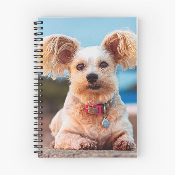 Item preview, Pipi the Papillon Dog  designed and sold by Barry Ion.