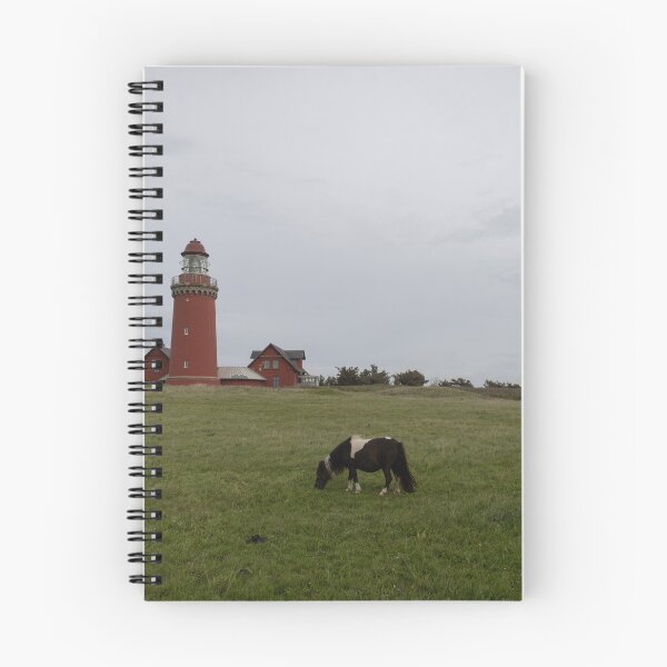 Item preview, Lighthouse and Pony  designed and sold by Calidris Fotografie Steffi & Ben Köppler.