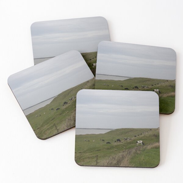 Item preview, Cattle designed and sold by Calidris Fotografie Steffi & Ben Köppler.