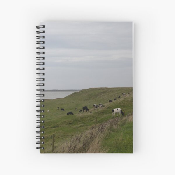 Item preview, Cattle designed and sold by Calidris Fotografie Steffi & Ben Köppler.