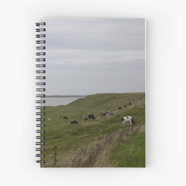 Item preview, Cattle designed and sold by Calidris Fotografie Steffi & Ben Köppler.