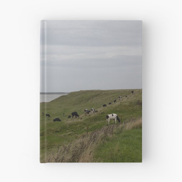 Item preview, Cattle designed and sold by Calidris Fotografie Steffi & Ben Köppler.