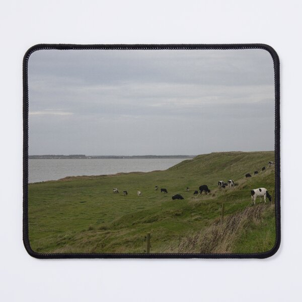 Item preview, Cattle designed and sold by Calidris Fotografie Steffi & Ben Köppler.