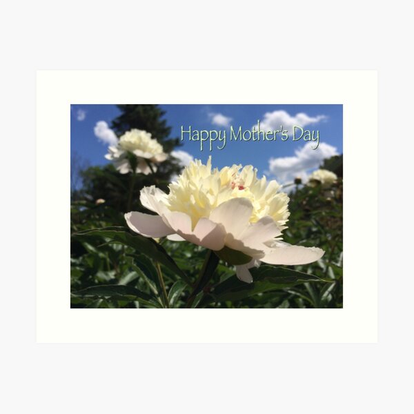 Item preview, Mother’s Day peony designed and sold by Beth Tidd.