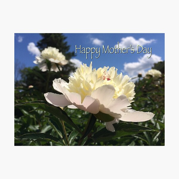 Item preview, Mother’s Day peony designed and sold by Beth Tidd.