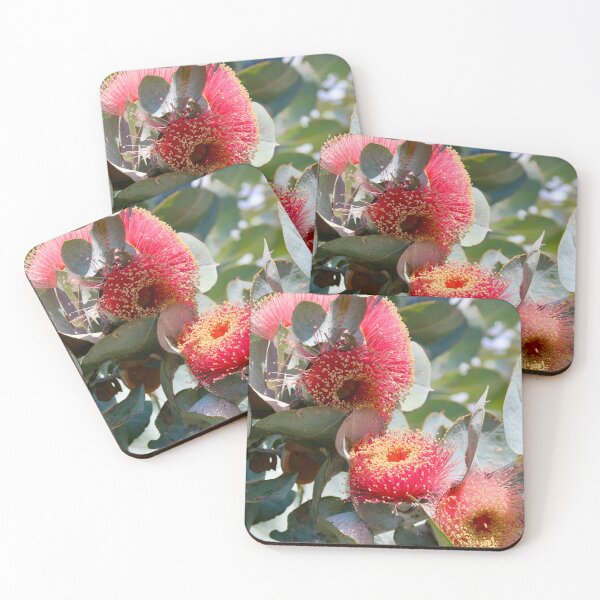 Item preview, Eucalyptus Macrocarpa  designed and sold by TMHCreativeCo.