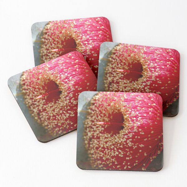 Item preview, Eucalyptus Macrocarpa  designed and sold by TMHCreativeCo.