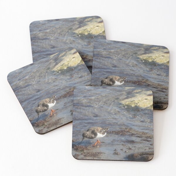 Item preview, Ruddy Turnstone designed and sold by Calidris Fotografie Steffi & Ben Köppler.