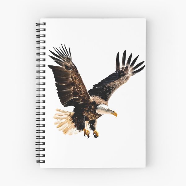 Item preview, soaring eagle designed and sold by StonePine.