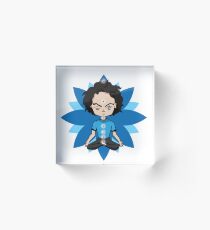 Yoga Acrylic Block