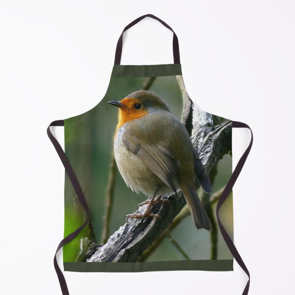 Item preview, Relaxing Robin designed and sold by VanderWyst RE-Design.