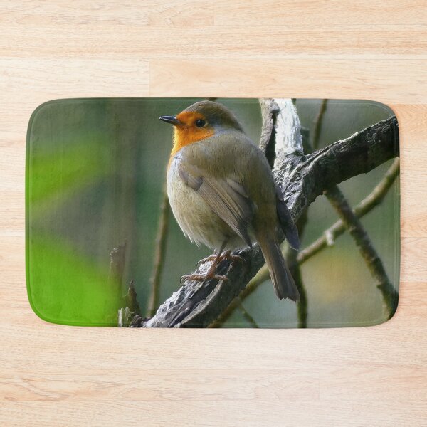 Item preview, Relaxing Robin designed and sold by VanderWyst RE-Design.