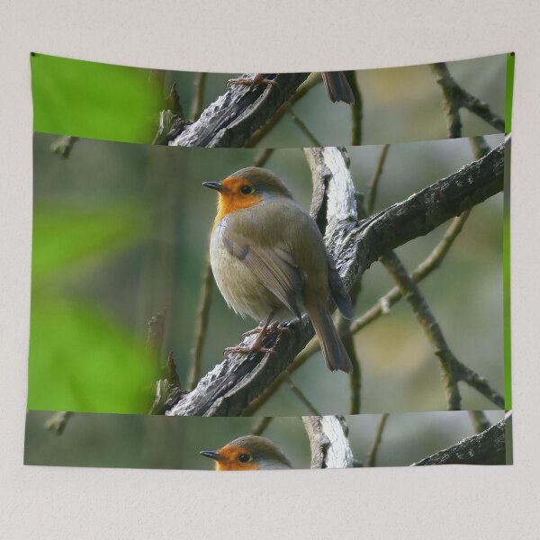 Item preview, Relaxing Robin designed and sold by VanderWyst RE-Design.