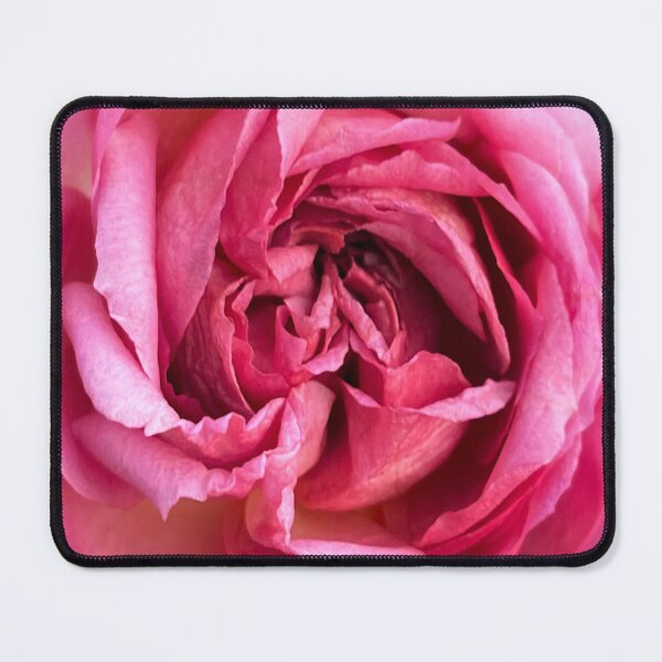 Item preview, A Rose is a Rose designed and sold by ricoflinn.