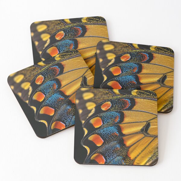 Item preview, Flight of Fancy designed and sold by a house mouse.