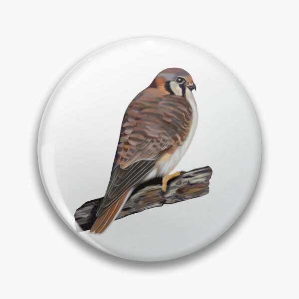 Item preview, American Kestrel designed and sold by Wondersofwhimsy.