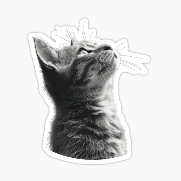 Art drawing of a cat looking up