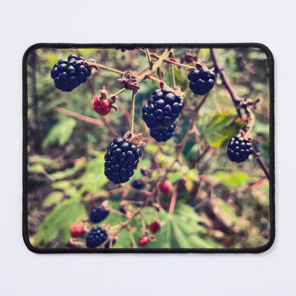 Item preview, Blackberry Days designed and sold by diamondxarts.