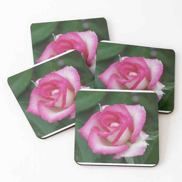Item preview, Pink Swirl Rose designed and sold by SucculentLovers.