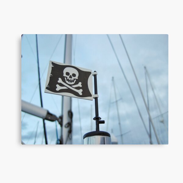 Windy day pirate flag Metal Print