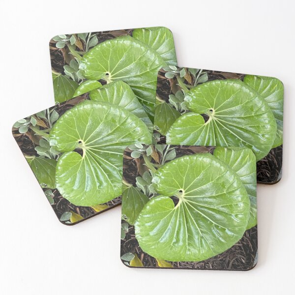 Item preview, Leaf of Green designed and sold by SucculentLovers.