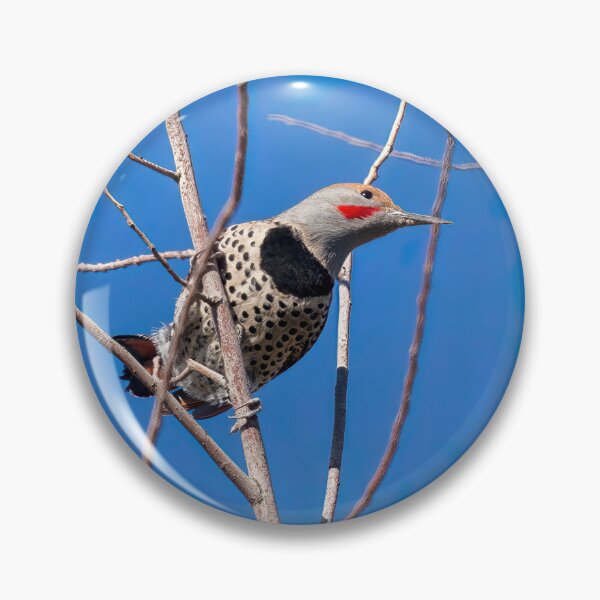 Item preview, Northern Flicker designed and sold by CarolM.