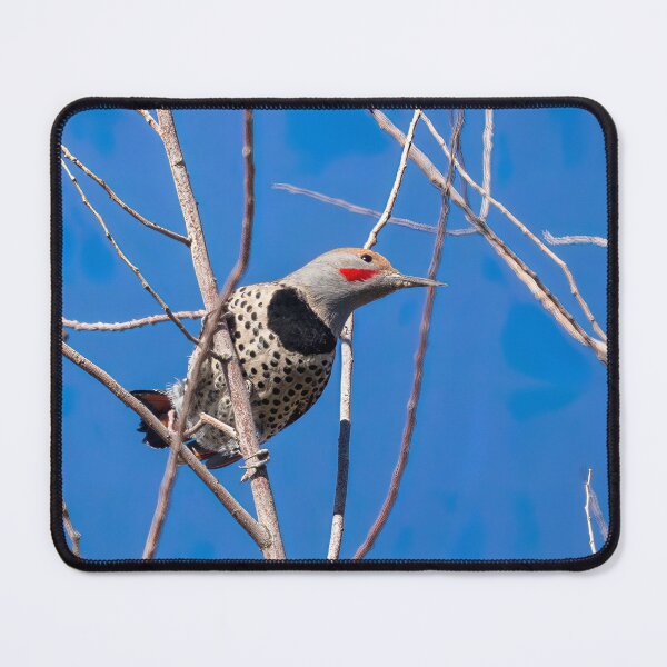 Item preview, Northern Flicker designed and sold by CarolM.