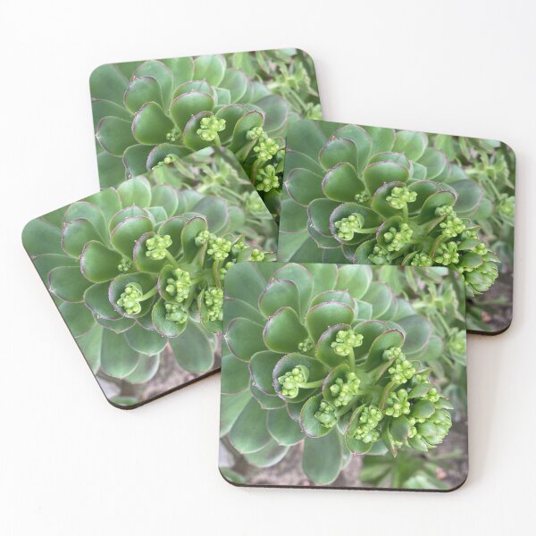 Item preview, Succulent Death Bloom Repeat designed and sold by SucculentLovers.