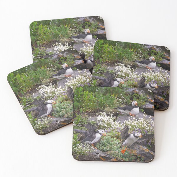 Item preview, Three Horned Puffins in Alaska designed and sold by PhotoArt by Joan Carroll.