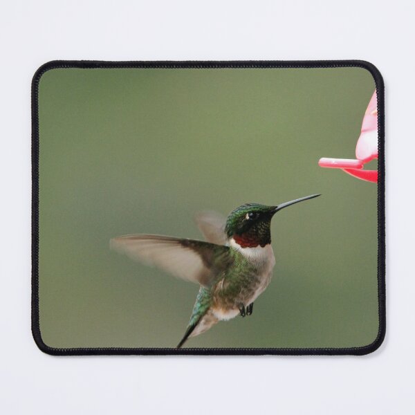 Item preview, The Tiny Hummer designed and sold by Debbie Oppermann.