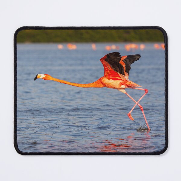 Item preview, Flamingo walking on water designed and sold by Travelways.