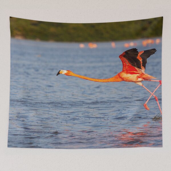 Item preview, Flamingo walking on water designed and sold by Travelways.