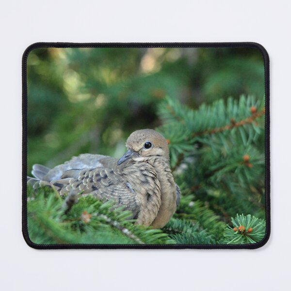 Item preview, This Is My Best Side designed and sold by Debbie Oppermann.