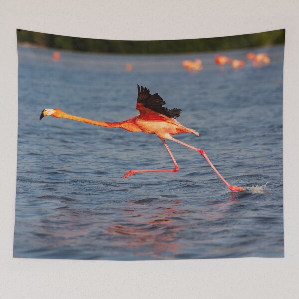 Item preview, Flamingo walking on water #2 designed and sold by Travelways.