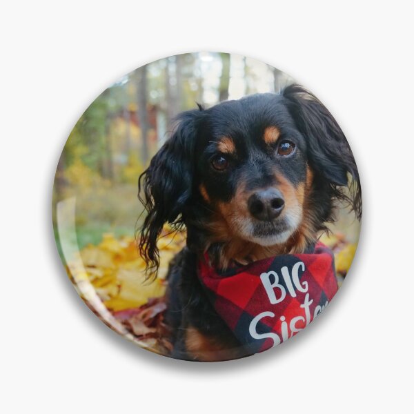 Item preview, Tana big sis  designed and sold by Kayla Colby.