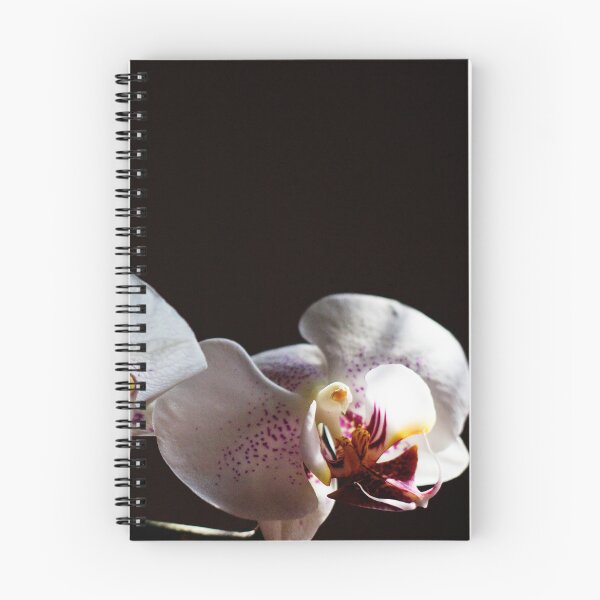 Item preview, Orchids designed and sold by WhitSpace.