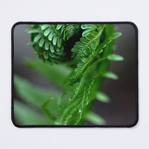 Item preview, Fern Frond designed and sold by Debbie Oppermann.