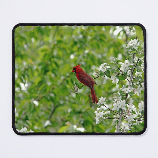 Item preview, Bird And Blossoms designed and sold by Debbie Oppermann.
