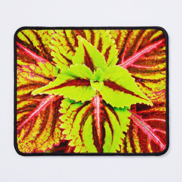 Item preview, Neon Leaf Impressions Pattern designed and sold by Health And Fitness Posts e-Store.