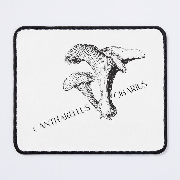 Item preview, Chanterelle - Cantharellus cibarius designed and sold by prettykokopuff.