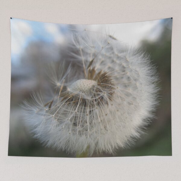 Item preview, Dandelion - Dandelion designed and sold by CaroEtnia.