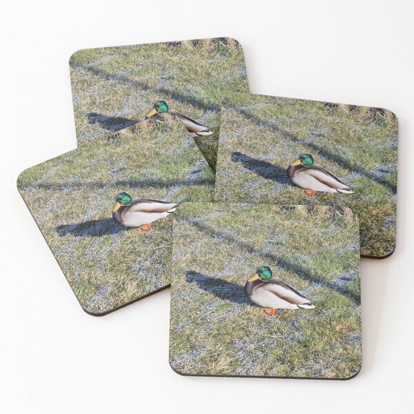 Item preview, Wild Duck - Long Shade designed and sold by Gaboro.
