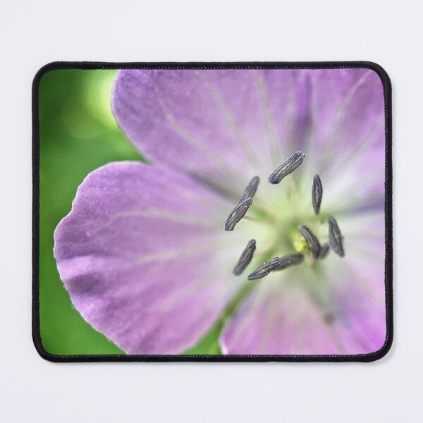 Item preview, Balloon Flower designed and sold by Jason Tompkins.
