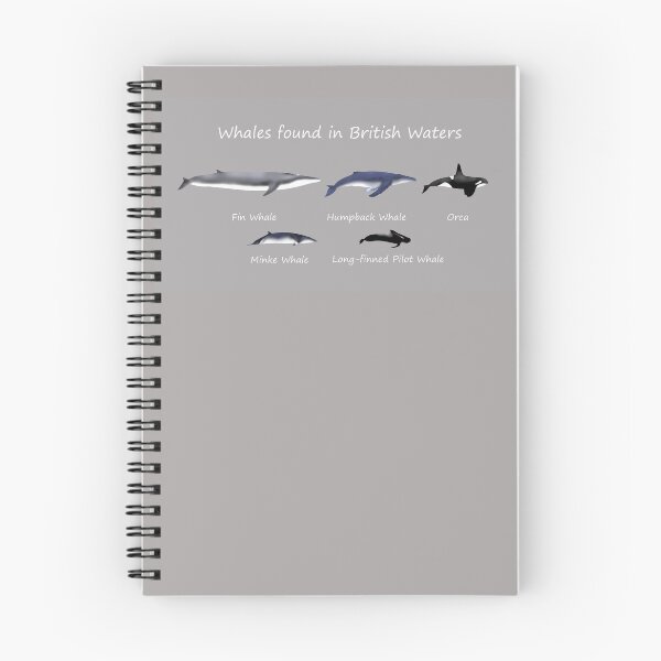 Item preview, Whales found in British waters - Cetaceans designed and sold by SteveEvansArt.