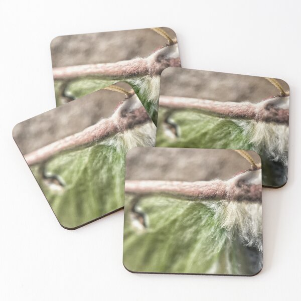 Item preview, Up Close And Furry designed and sold by Jason Tompkins.